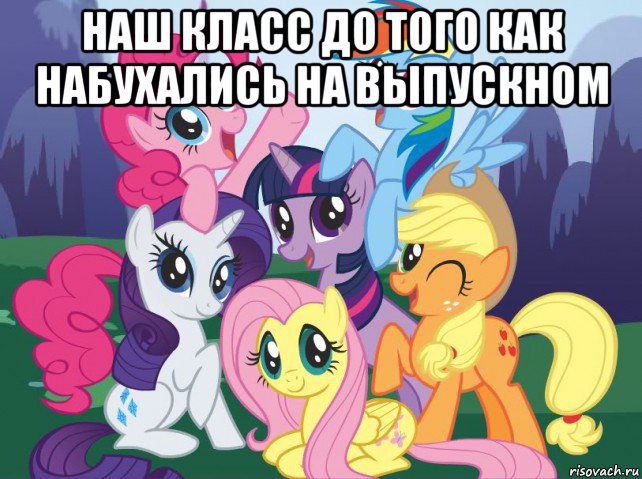 наш класс до того как набухались на выпускном , Мем My little pony