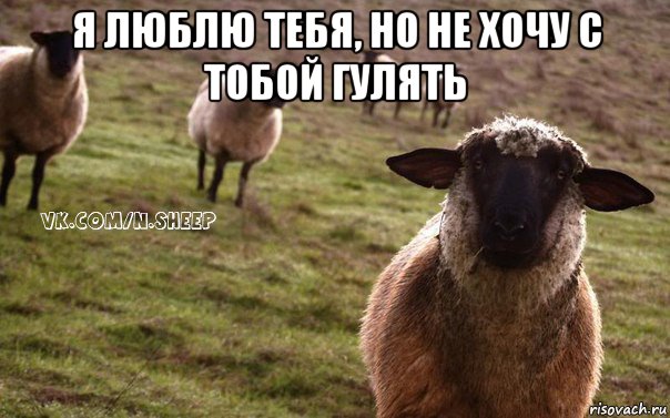 я люблю тебя, но не хочу с тобой гулять , Мем  Наивная Овца