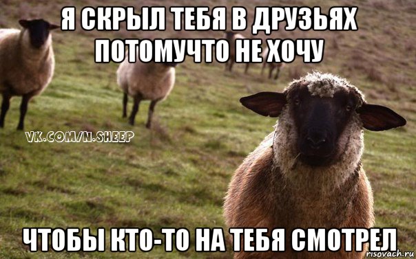 я скрыл тебя в друзьях потомучто не хочу чтобы кто-то на тебя смотрел, Мем  Наивная Овца
