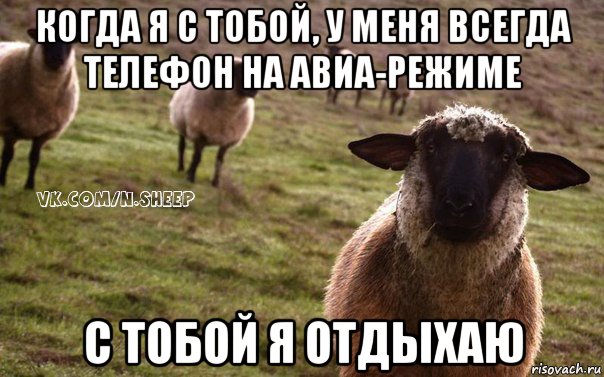 когда я с тобой, у меня всегда телефон на авиа-режиме с тобой я отдыхаю, Мем  Наивная Овца