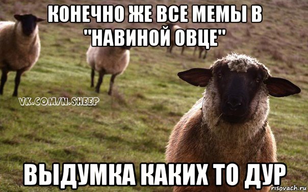 конечно же все мемы в "навиной овце" выдумка каких то дур, Мем  Наивная Овца