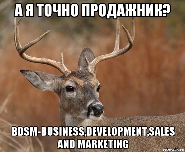 а я точно продажник? bdsm-business,development,sales and marketing, Мем  Наивный Олень v2