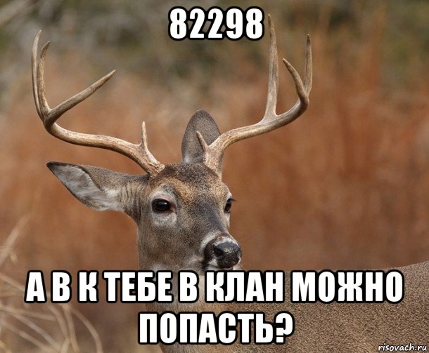 82298 а в к тебе в клан можно попасть?, Мем  Наивный Олень v2