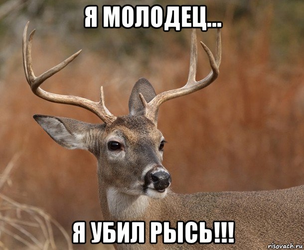 я молодец... я убил рысь!!!, Мем  Наивный Олень v2