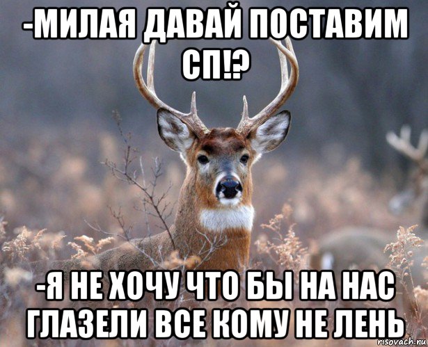 -милая давай поставим сп!? -я не хочу что бы на нас глазели все кому не лень, Мем   Наивный олень