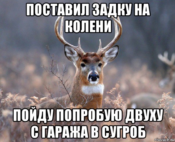 поставил задку на колени пойду попробую двуху с гаража в сугроб, Мем   Наивный олень