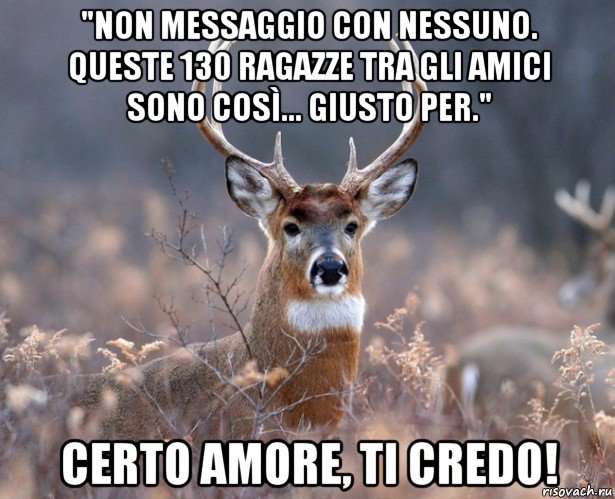 "non messaggio con nessuno. queste 130 ragazze tra gli amici sono così... giusto per." certo amore, ti credo!, Мем   Наивный олень