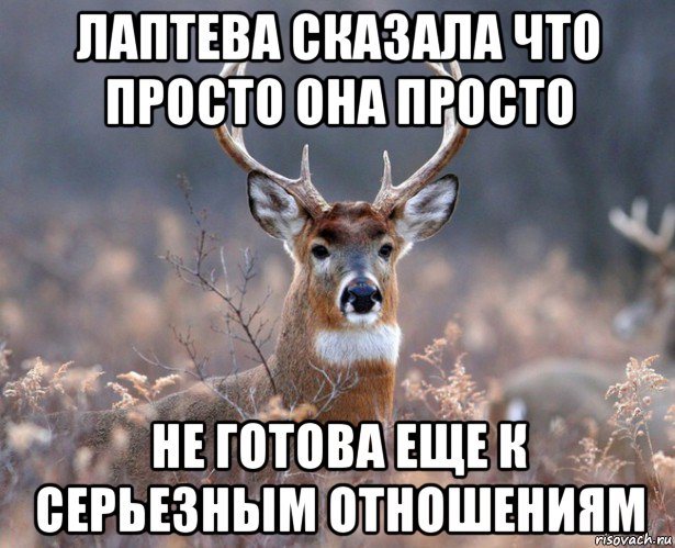 лаптева сказала что просто она просто не готова еще к серьезным отношениям, Мем   Наивный олень