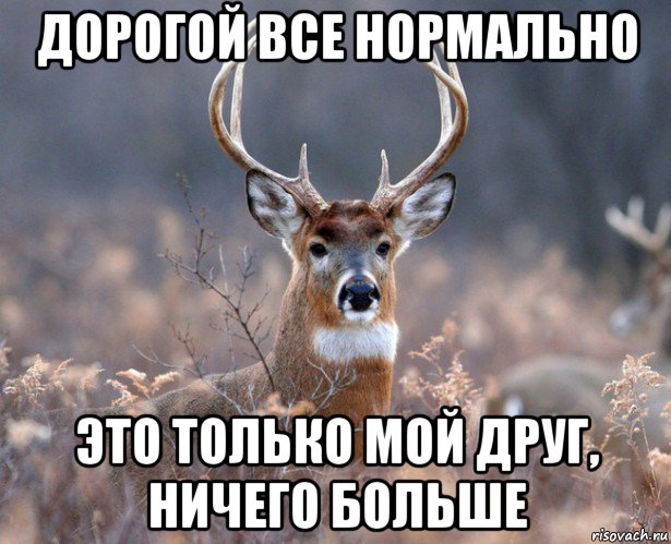 дорогой все нормально это только мой друг, ничего больше, Мем   Наивный олень