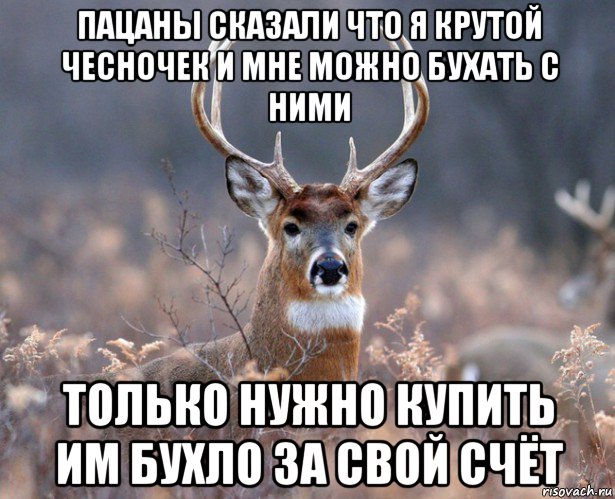 пацаны сказали что я крутой чесночек и мне можно бухать с ними только нужно купить им бухло за свой счёт, Мем   Наивный олень