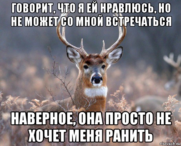 говорит, что я ей нравлюсь, но не может со мной встречаться наверное, она просто не хочет меня ранить, Мем   Наивный олень