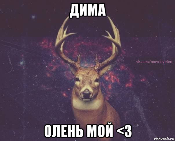 дима олень мой <3