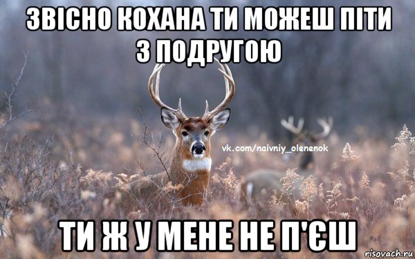 звісно кохана ти можеш піти з подругою ти ж у мене не п'єш, Мем  Наивный Олененок