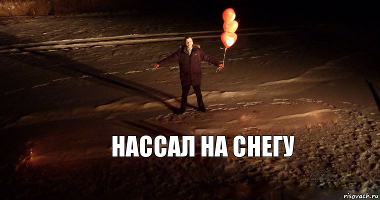 Нассал на снегу