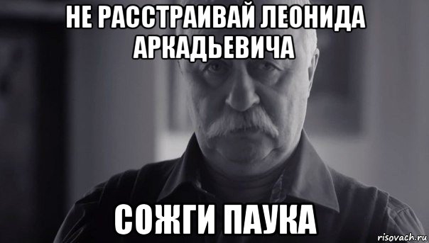 не расстраивай леонида аркадьевича сожги паука, Мем Не огорчай Леонида Аркадьевича