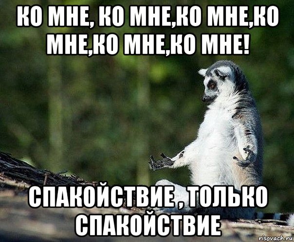 ко мне, ко мне,ко мне,ко мне,ко мне,ко мне! спакойствие , только спакойствие, Мем не узбагоюсь