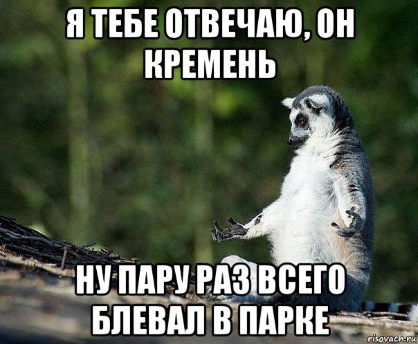 я тебе отвечаю, он кремень ну пару раз всего блевал в парке, Мем не узбагоюсь