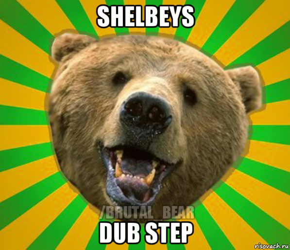 shelbeys dub step, Мем Нелепый медведь