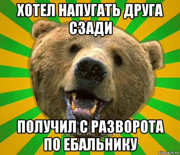 хотел напугать друга сзади получил с разворота по ебальнику, Мем Нелепый медведь