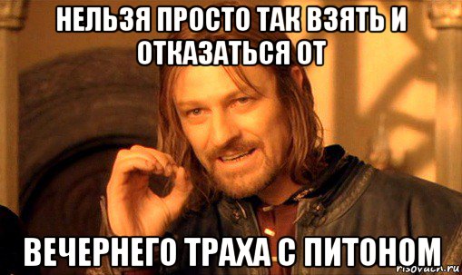 нельзя просто так взять и отказаться от вечернего траха с питоном, Мем Нельзя просто так взять и (Боромир мем)