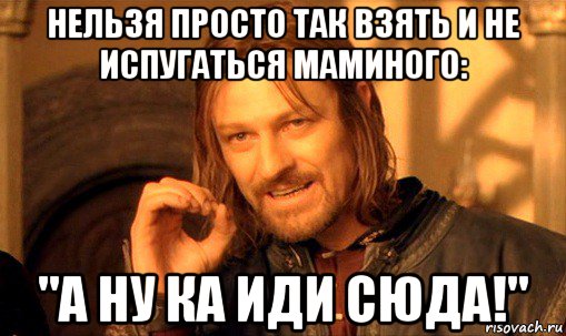 нельзя просто так взять и не испугаться маминого: "а ну ка иди сюда!", Мем Нельзя просто так взять и (Боромир мем)