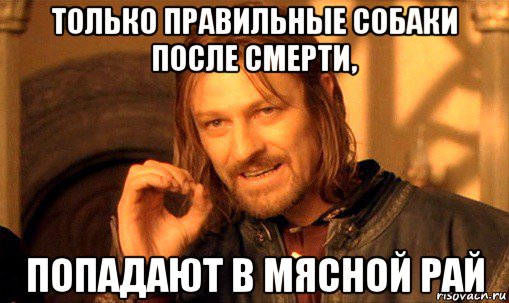 только правильные собаки после смерти, попадают в мясной рай, Мем Нельзя просто так взять и (Боромир мем)