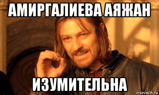 амиргалиева аяжан изумительна, Мем Нельзя просто так взять и (Боромир мем)