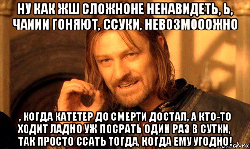 ну как жш сложноне ненавидеть, ь, чаиии гоняют, ссуки, невозмооожно , когда катетер до смерти достал, а кто-то ходит ладно уж посрать один раз в сутки, так просто ссать тогда, когда ему угодно!, Мем Нельзя просто так взять и (Боромир мем)