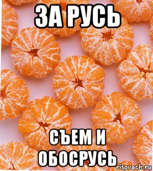 за русь съем и обосрусь