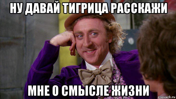 ну давай тигрица расскажи мне о смысле жизни, Мем Ну давай расскажи (Вилли Вонка)