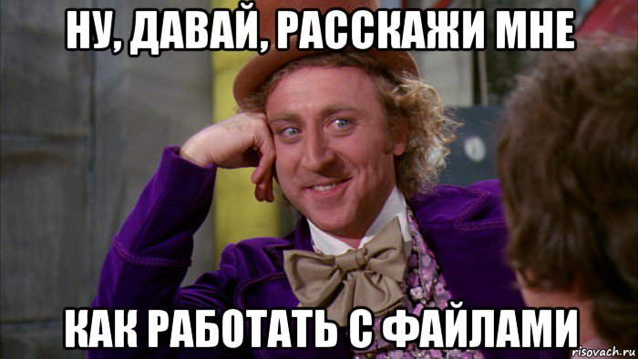 ну, давай, расскажи мне как работать с файлами, Мем Ну давай расскажи (Вилли Вонка)