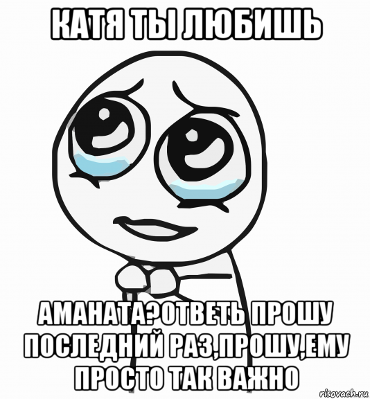 катя ты любишь аманата?ответь прошу последний раз,прошу,ему просто так важно, Мем  ну пожалуйста (please)