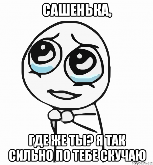 сашенька, где же ты? я так сильно по тебе скучаю, Мем  ну пожалуйста (please)