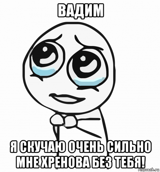 вадим я скучаю очень сильно мне хренова без тебя!, Мем  ну пожалуйста (please)