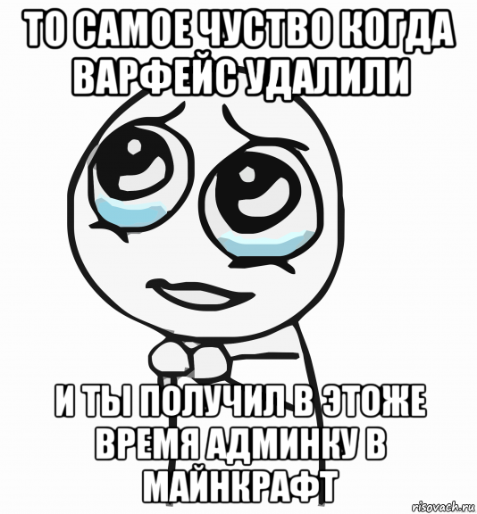 то самое чуство когда варфейс удалили и ты получил в этоже время админку в майнкрафт, Мем  ну пожалуйста (please)