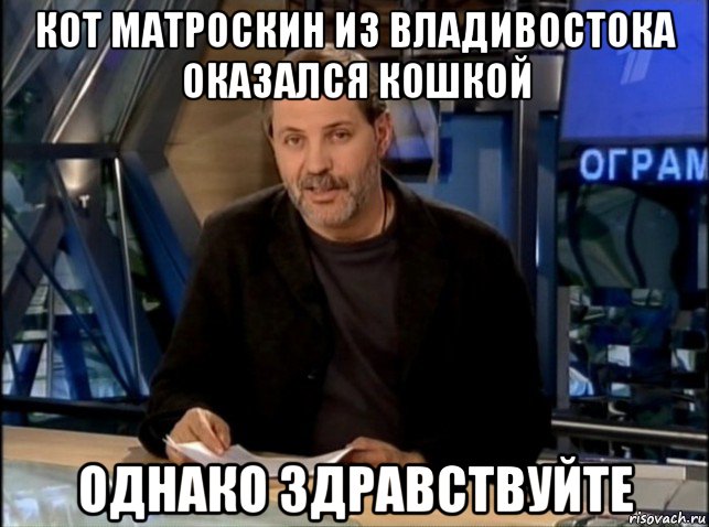 кот матроскин из владивостока оказался кошкой однако здравствуйте, Мем Однако Здравствуйте