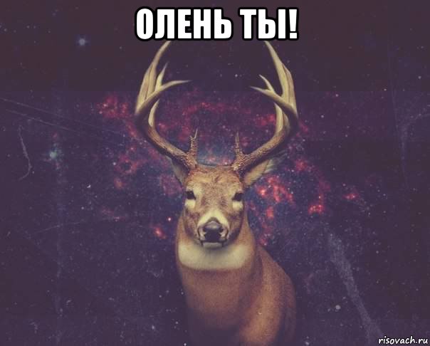 олень ты! 