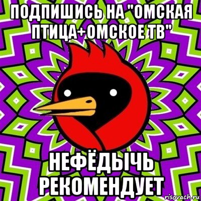 подпишись на "омская птица+омское тв" нефёдычь рекомендует, Мем Омская птица