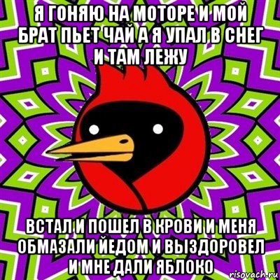 я гоняю на моторе и мой брат пьет чай а я упал в снег и там лежу встал и пошел в крови и меня обмазали йедом и выздоровел и мне дали яблоко, Мем Омская птица