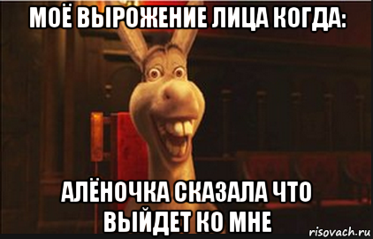 моё вырожение лица когда: алёночка сказала что выйдет ко мне, Мем Осел из Шрека