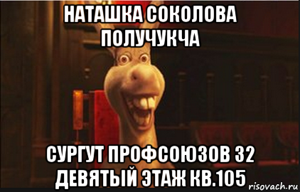 наташка соколова получукча сургут профсоюзов 32 девятый этаж кв.105, Мем Осел из Шрека