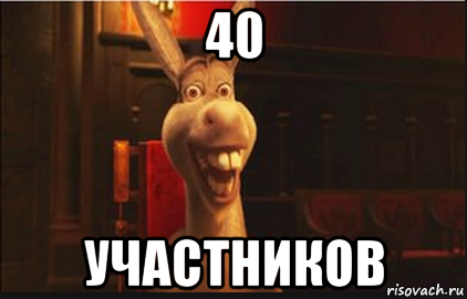 40 участников, Мем Осел из Шрека