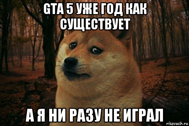 gta 5 уже год как существует а я ни разу не играл, Мем SAD DOGE