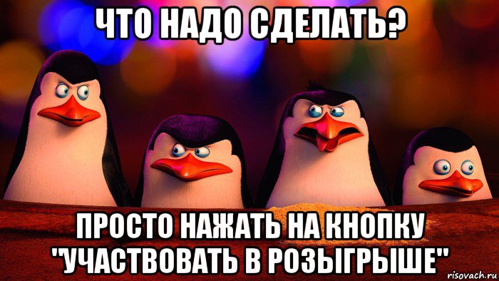 что надо сделать? просто нажать на кнопку "участвовать в розыгрыше", Мем  Пингвины мадагаскара 3