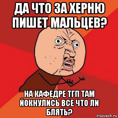 да что за херню пишет мальцев? на кафедре тгп там йокнулись все что ли блять?, Мем Почему