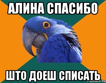 алина спасибо што доеш списать, Мем Попугай параноик