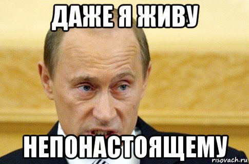 даже я живу непонастоящему, Мем путин