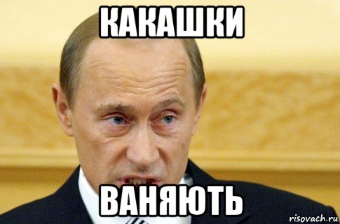 какашки ваняють, Мем путин