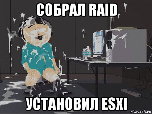 собрал raid установил esxi