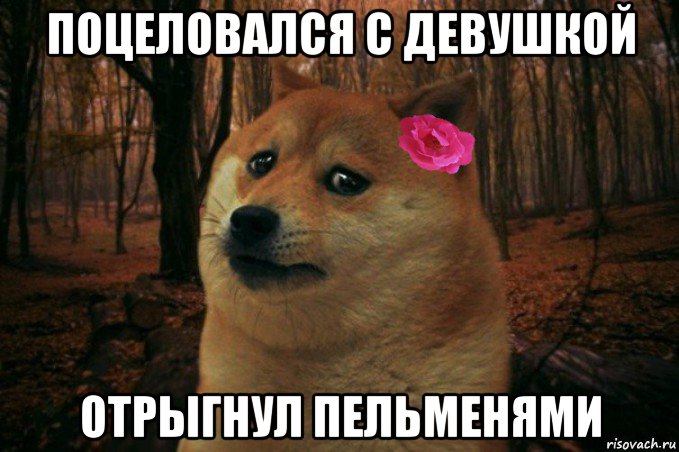 поцеловался с девушкой отрыгнул пельменями, Мем  SAD DOGE GIRL